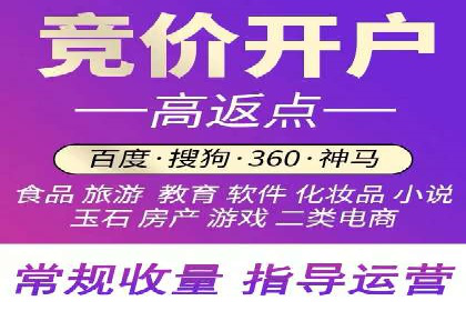 SEM代运营经典案例解析与启示
